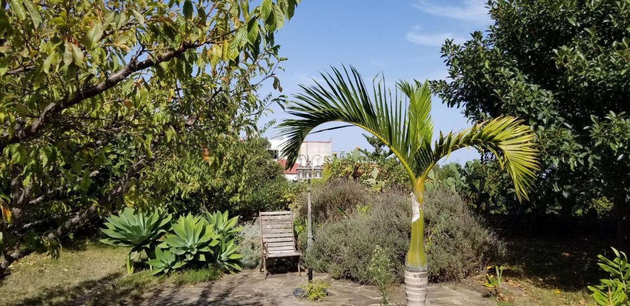 La Casita De La Vega Daire Icod De Los Vinos Dış mekan fotoğraf
