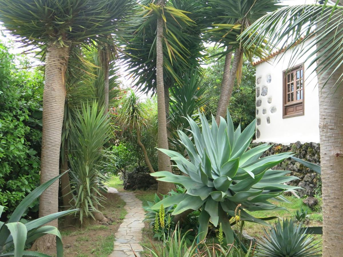 La Casita De La Vega Daire Icod De Los Vinos Dış mekan fotoğraf