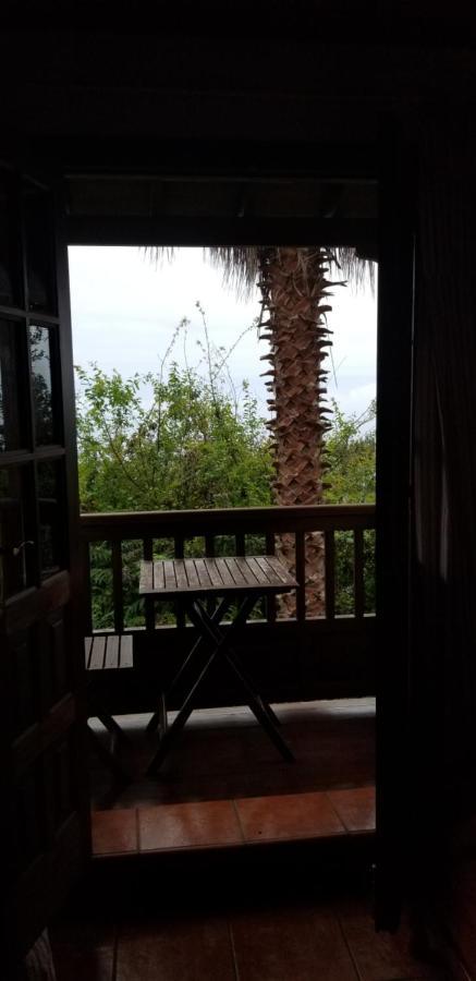 La Casita De La Vega Daire Icod De Los Vinos Dış mekan fotoğraf