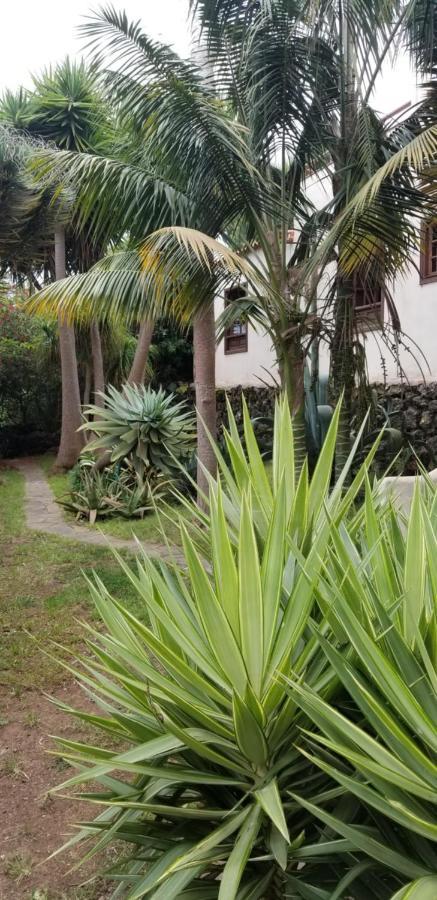 La Casita De La Vega Daire Icod De Los Vinos Dış mekan fotoğraf