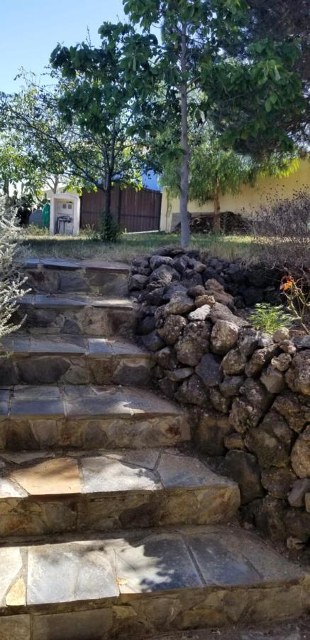 La Casita De La Vega Daire Icod De Los Vinos Dış mekan fotoğraf