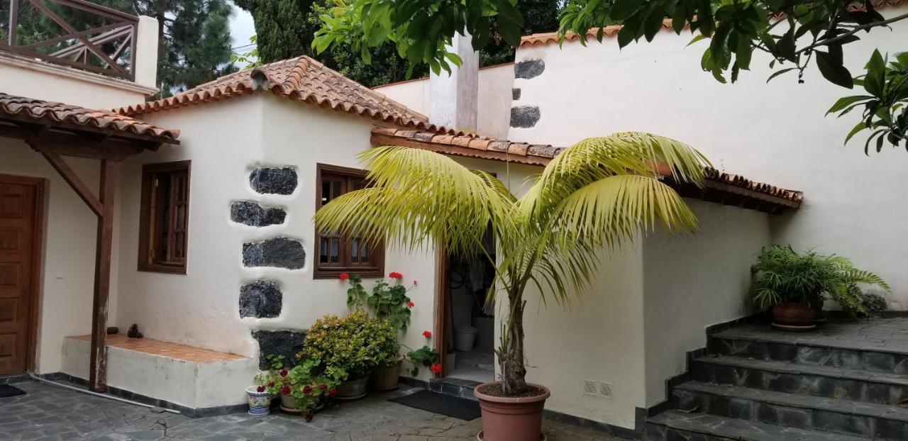 La Casita De La Vega Daire Icod De Los Vinos Dış mekan fotoğraf