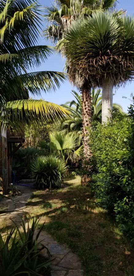 La Casita De La Vega Daire Icod De Los Vinos Dış mekan fotoğraf