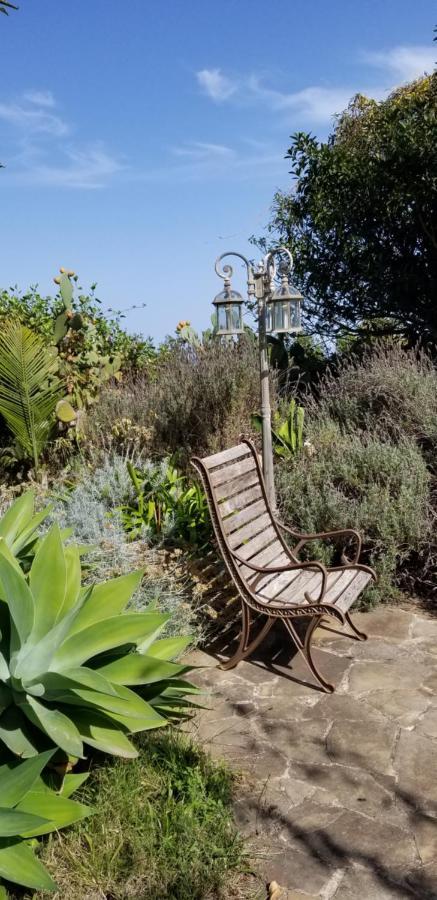 La Casita De La Vega Daire Icod De Los Vinos Dış mekan fotoğraf