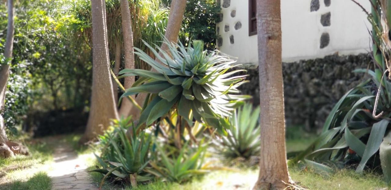 La Casita De La Vega Daire Icod De Los Vinos Dış mekan fotoğraf