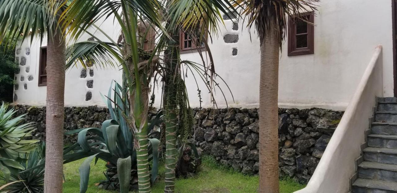 La Casita De La Vega Daire Icod De Los Vinos Dış mekan fotoğraf