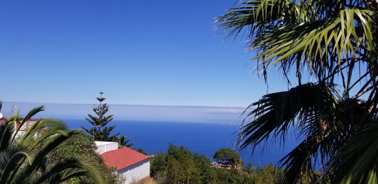 La Casita De La Vega Daire Icod De Los Vinos Dış mekan fotoğraf