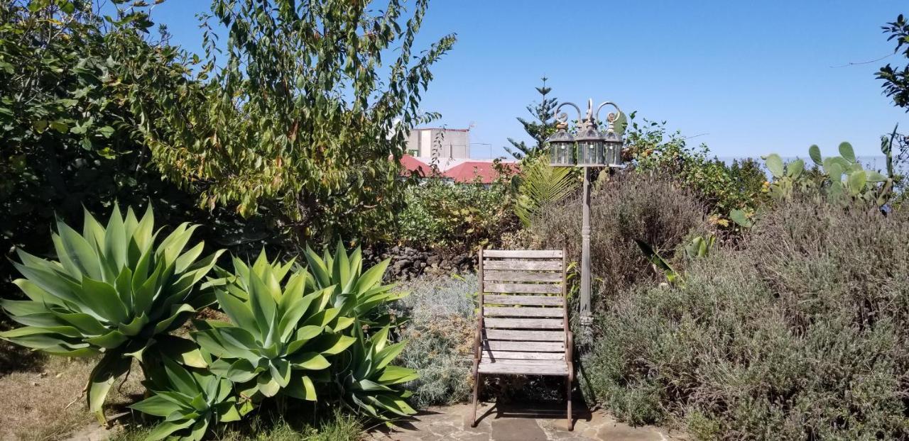 La Casita De La Vega Daire Icod De Los Vinos Dış mekan fotoğraf