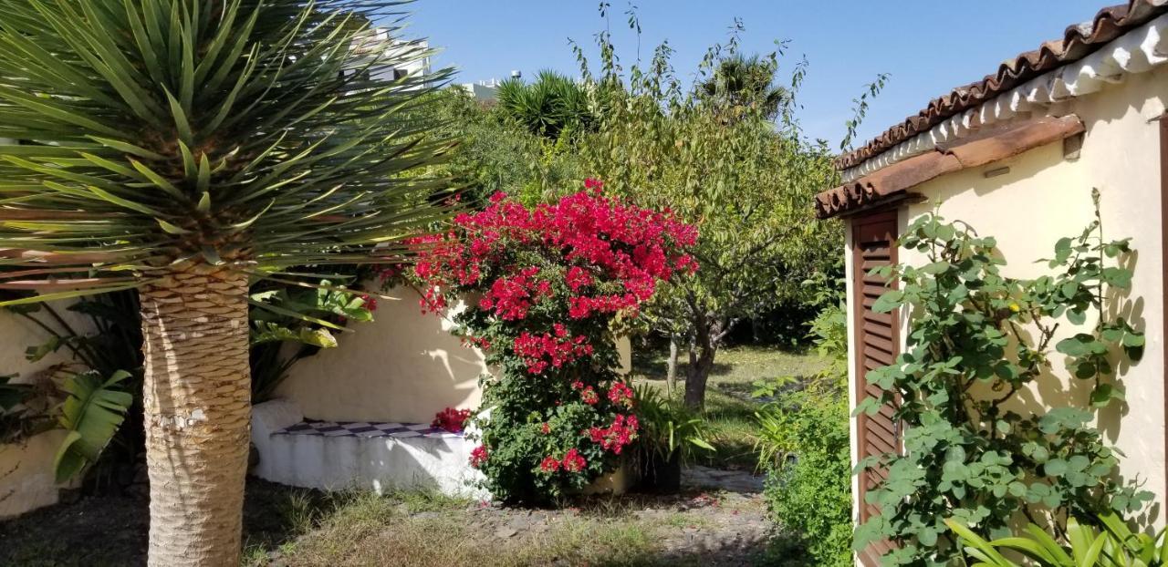 La Casita De La Vega Daire Icod De Los Vinos Dış mekan fotoğraf